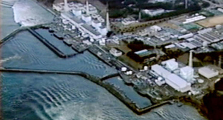 Возле Фукусимы выловили радиоактивную рыбу