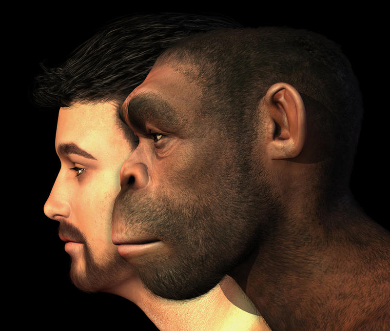 Роди урода: ученые ищут добровольцев для клонирования неандертальцев / shutterstock.com