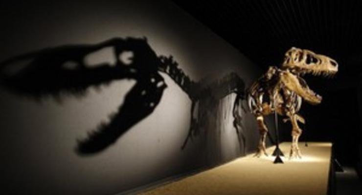 Би-би-си: Учёные приблизились к раскрытию тайны гибели динозавров