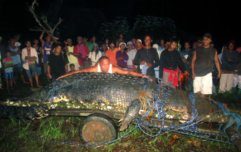 Умер самый большой крокодил в мире (ФОТО, ВИДЕО) / AP