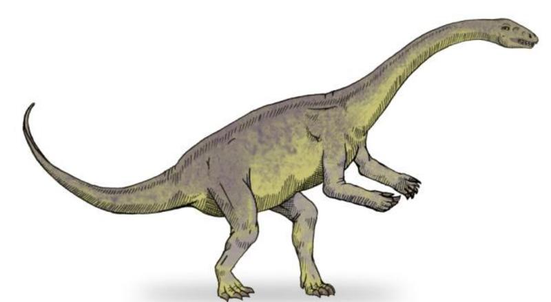 Раскрыта тайна яиц древних динозавров / Wikimedia.com