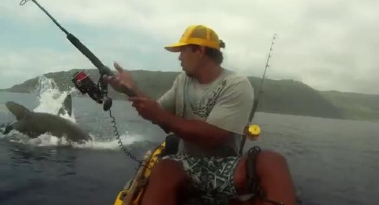 Видео дня: акула чуть не напала на рыбака