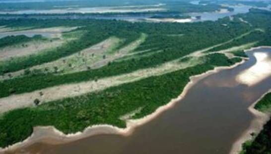 30 лет жары: последние годы стали самыми теплыми за полторы тысячи лет