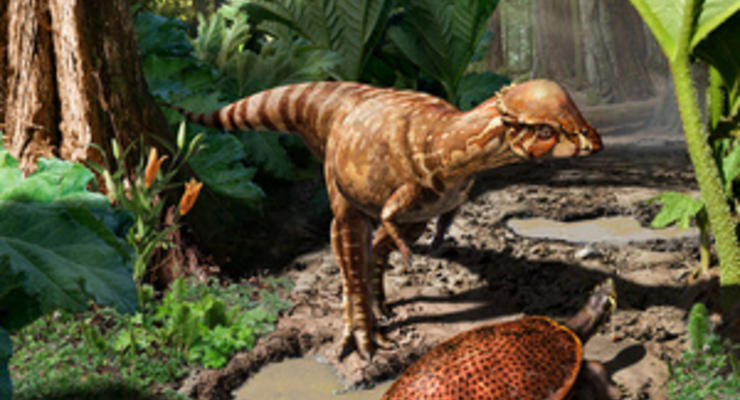 Толстолобый: Найден древний "бодающийся" динозавр