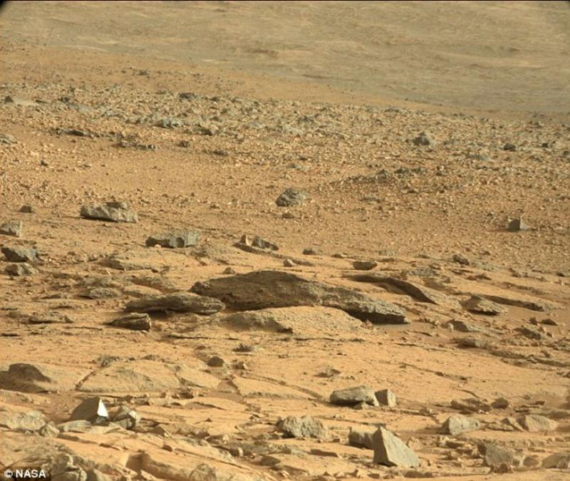 Космический фотошоп: на Марсе нашли ящерицу (ФОТО) / nasa.gov
