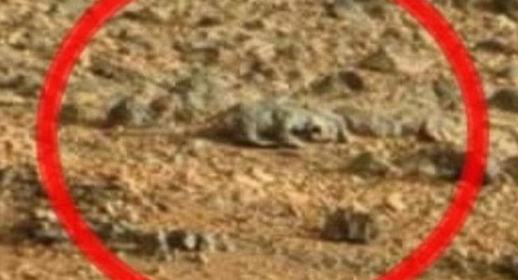 Космический фотошоп: на Марсе нашли ящерицу (ФОТО)