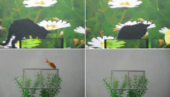 Создана настоящая шапка-невидимка (ВИДЕО)