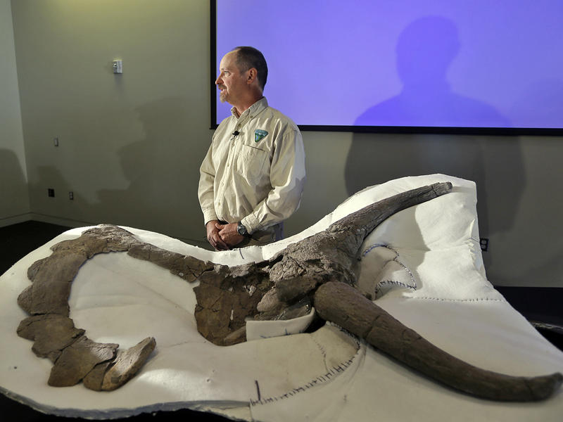 Найден неизвестный вид динозавра с гигантскими рогами (ФОТО) / AP