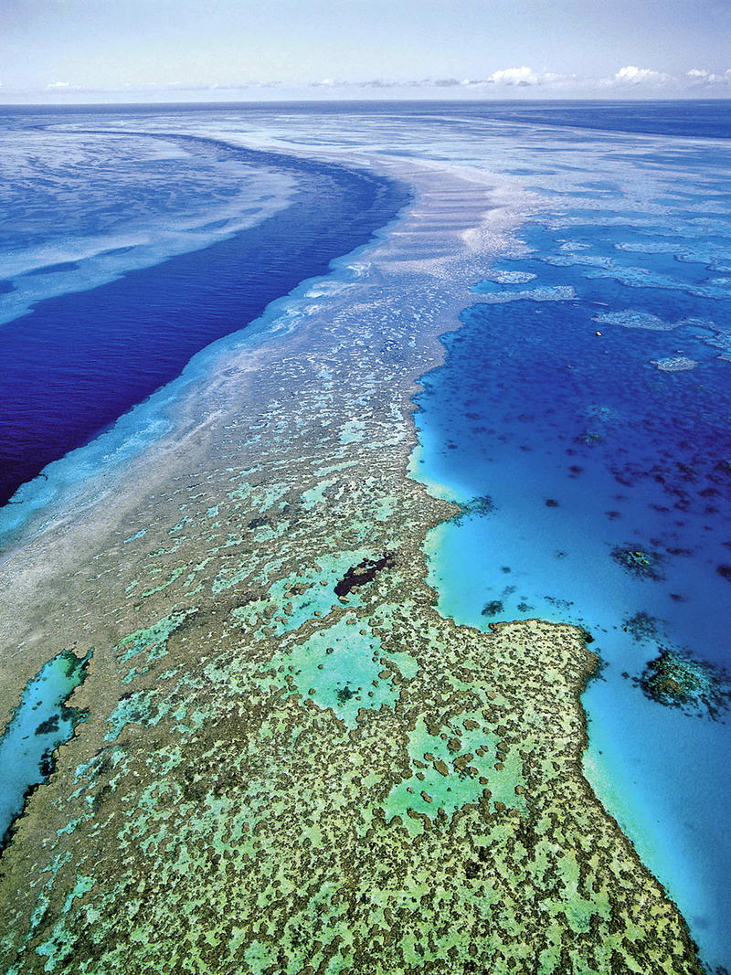 Чудо света: Большой барьерный риф под угрозой (ФОТО) / AP