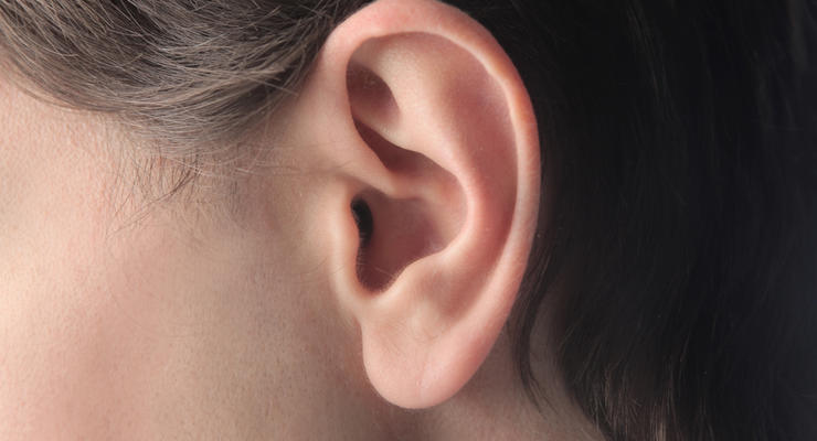 Создано искусственное ухо, которое умеет слышать (ФОТО)
