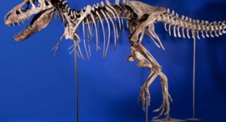 В Италии найдены тысячи следов динозавров
