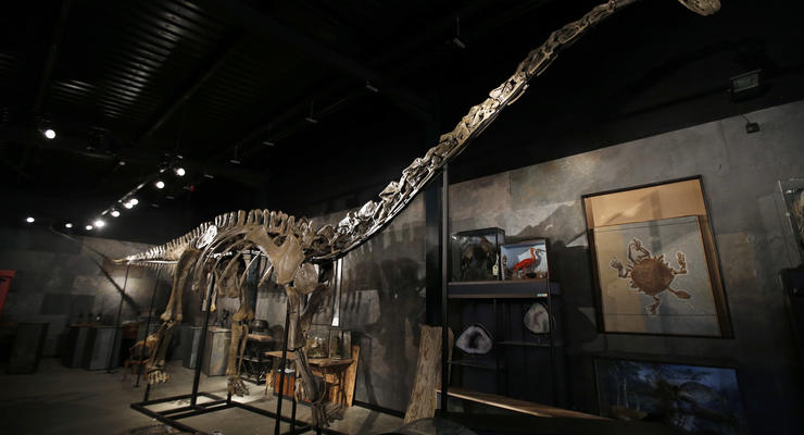 Американские ученые реконструировали мозг динозавров