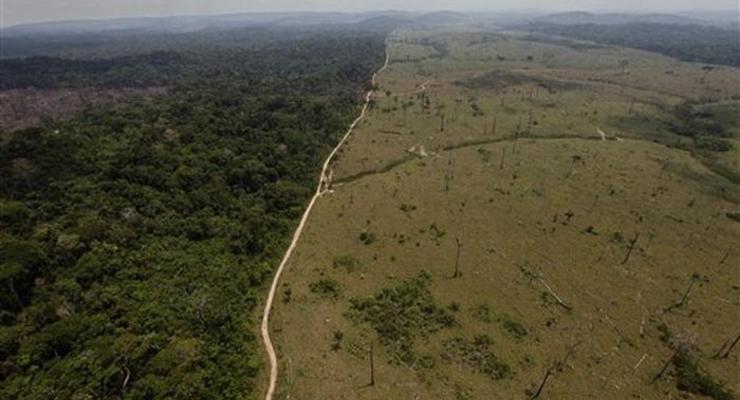 Леса Амазонки уничтожают все быстрее