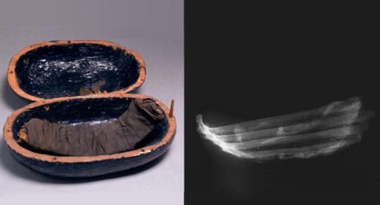 Говяжьи ребрышки для Аменхотепа: в гробнице фараона нашли мумифицированное мясо