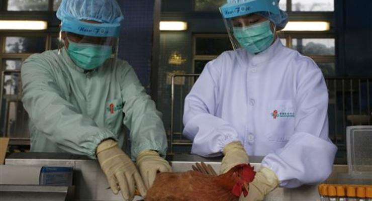 В Гонконге зафиксирован первый случай "птичьего гриппа" у человека