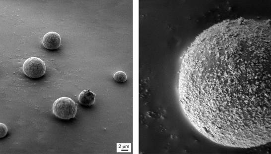 Крошечный мир вокруг нас: Удивительные ФОТО через микроскоп