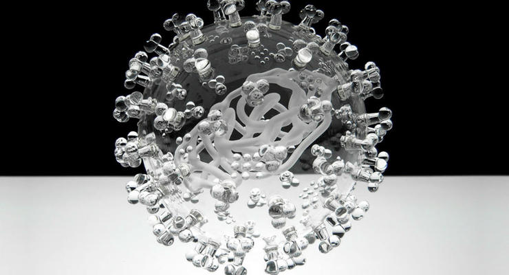 Научные фото недели: Вирус из стекла и медуза-киборг