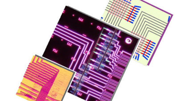 В Гарварде создали первый в мире нанопроцессор