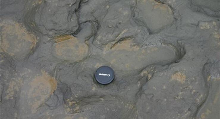 В Британии обнаружили следы людей, живших 800 тысяч лет назад