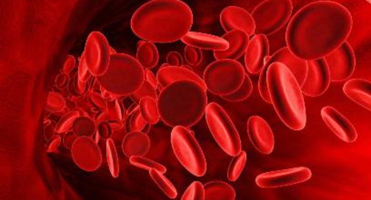 Продолжительность жизни можно установить по анализу крови - ученые