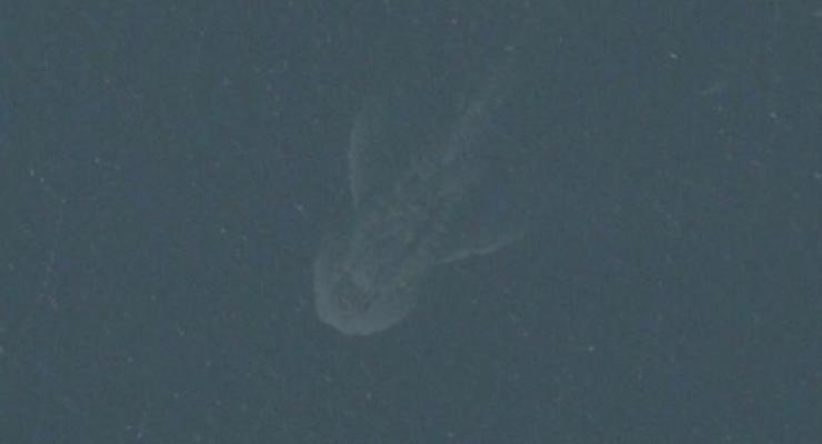 Спутник Apple нашел мифическое чудовище в озере Лох-Несс