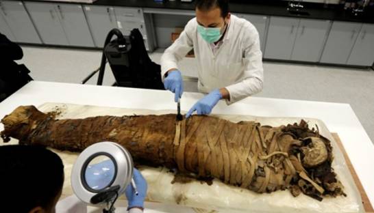 Археологи раскопали в Египте мумии писаря и рыбы