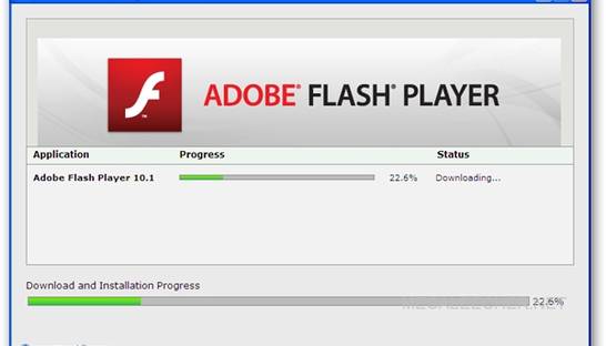 Установка Adobe Flash Player: пошаговая инструкция