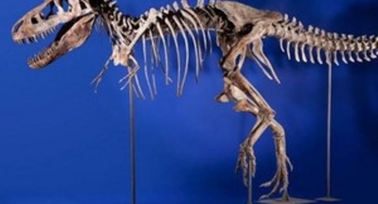 США вернули Монголии похищенные останки 18 динозавров