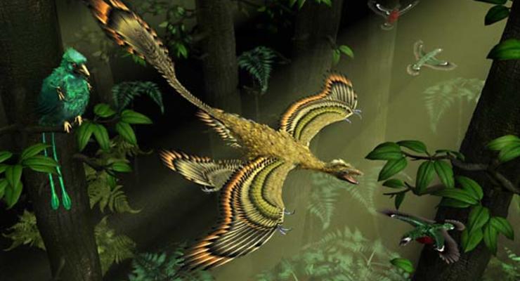 В Китае нашли самого большого четырехкрылого динозавра-хищника