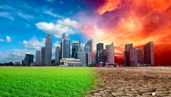 Пересекли черту: Земляне впервые израсходовали биоресурсы планеты