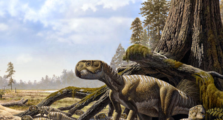 Интересный факт дня: У динозавров были няньки