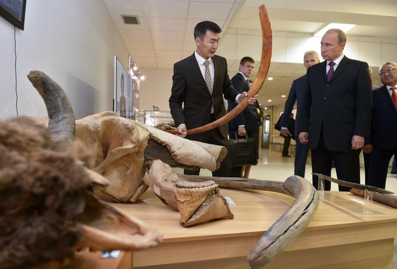 Путин осмотрел кости мамонтов и заинтересовался их клонированием / AP