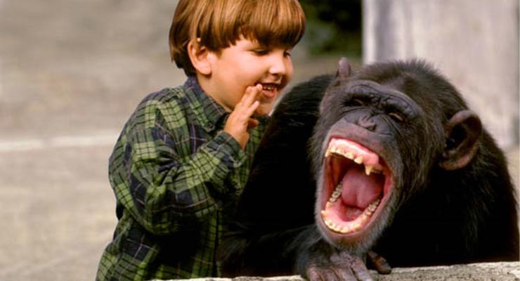 Дело в генах: Биологи нашли разницу между людьми и шимпанзе