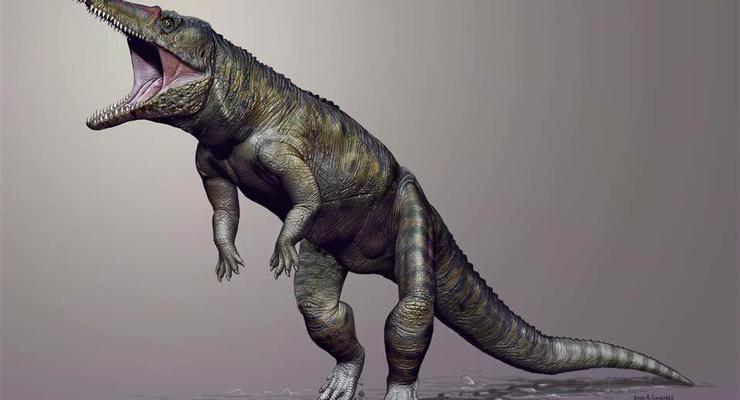 В музее США нашли гигантского двуногого крокодила