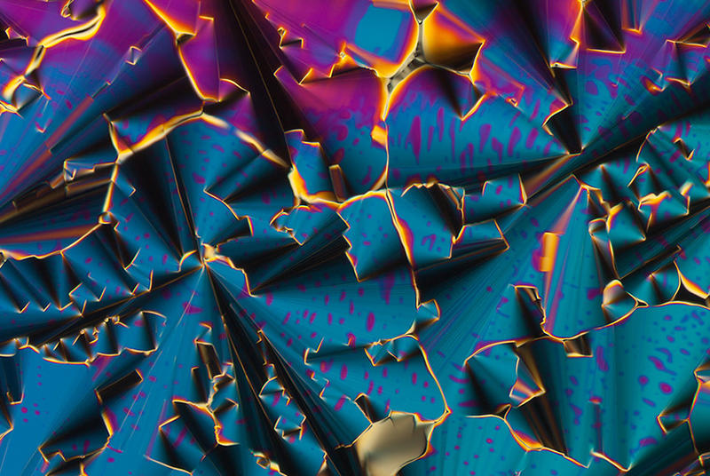 Микро-искусство: Удивительные фото предметов, сделанные через микроскоп / Linden Gledhill