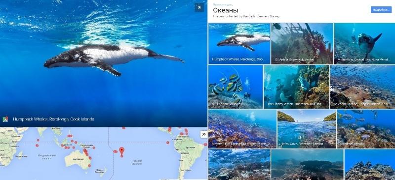 Google отметил Всемирный день океанов подводными панорамами / google.com