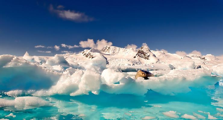 Ледники Аляски могут растаять к 2070 году
