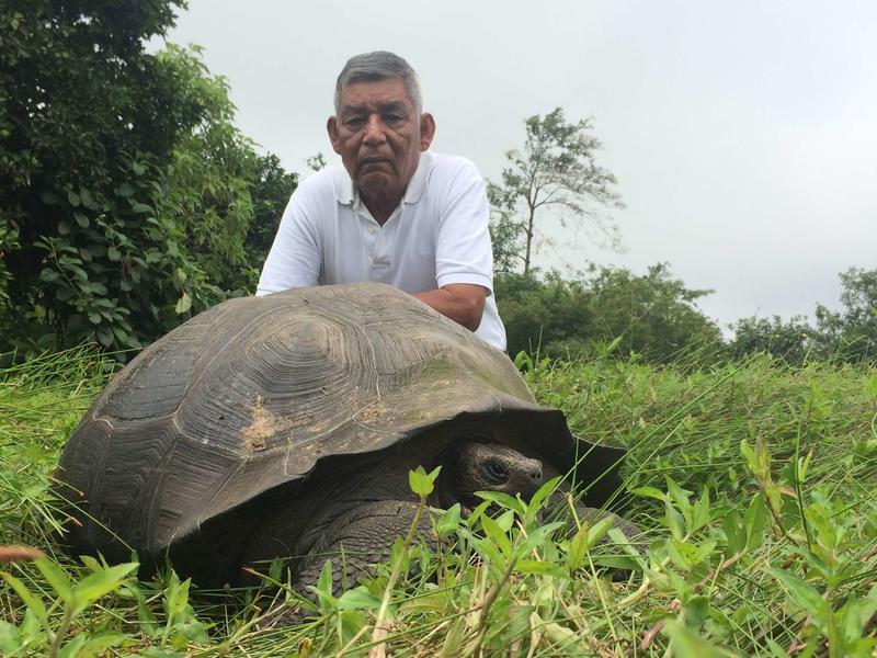 На Галапагосских островах нашли новый вид черепахи / plusone.com