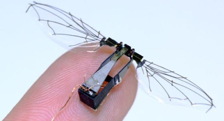 И в воде, и в воздухе: Создан робот-насекомое, умеющий плавать и летать
