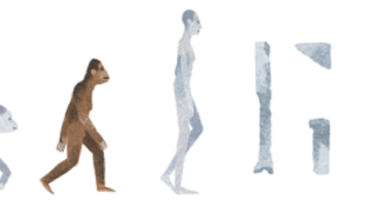 Google посвятил дудл предку человека Люси