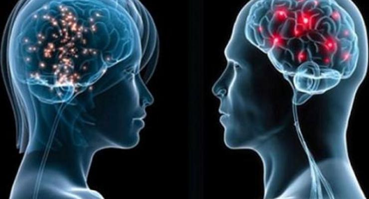 Ученые: мозг женщин и мужчин ничем не отличается