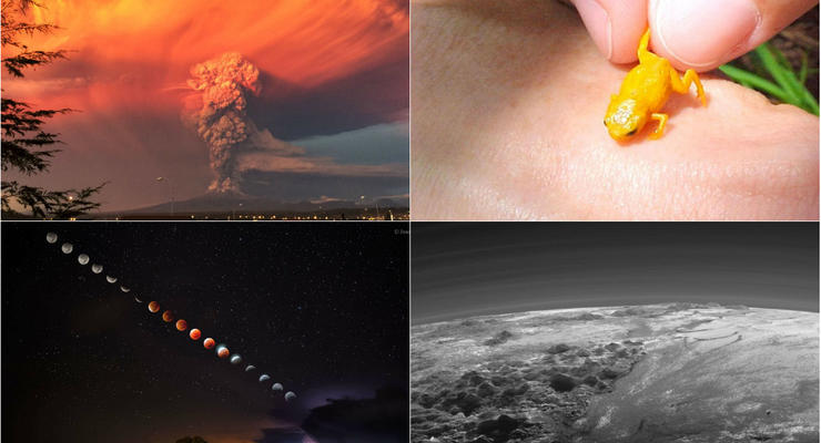 Затмения, вулканы, Плутон и крошки-лягушки: ТОП-50 научных фото 2015 года