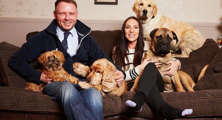 Пара из Британии клонировала любимого пса, а получила сразу две копии