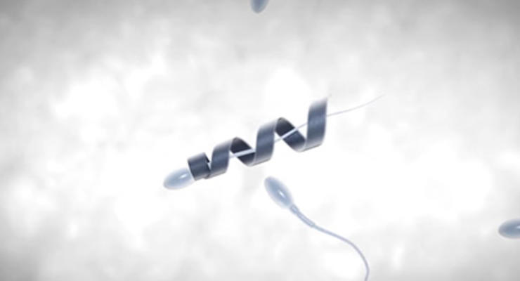 Сперма с моторчиком: Ученые создали "протез" для мужских половых клеток