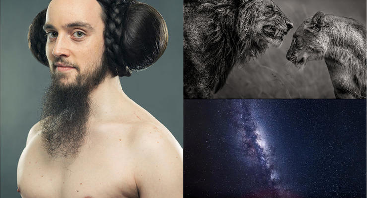 Дорога в ад, голый мужик и львы: Лучшие снимки Sony World Photography Awards