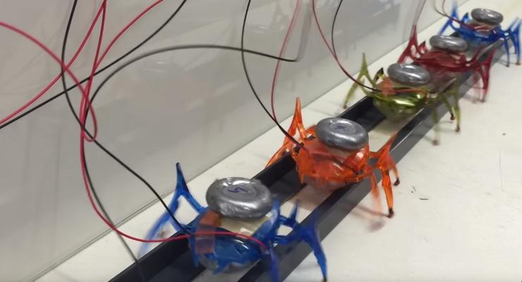 Созданы роботы-муравьи, способные передвинуть две тонны