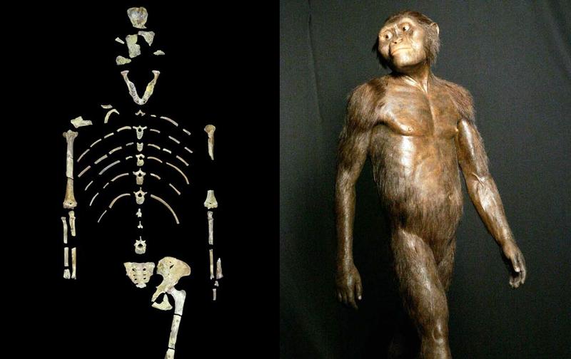 Ученые раскрыли тайну смерти первого предка человека
