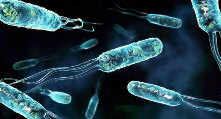 Гарвардские ученые наглядно продемонстрировали удивительный процесс эволюции бактерий