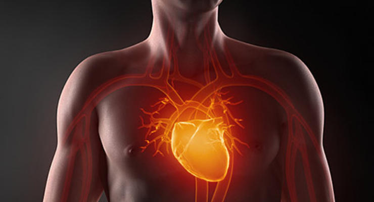 Ученые совершили прорыв в лечении сердечных заболеваний