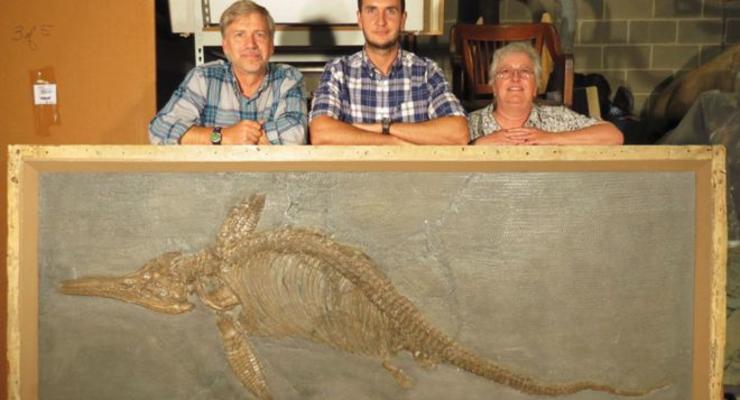 Ученые открыли два новых вида ихтиозавра